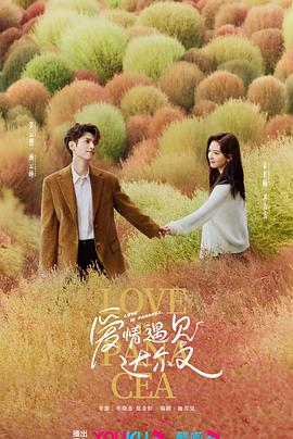 姑父有力挺送小芳的背景故事这场家庭风波里藏着什么？